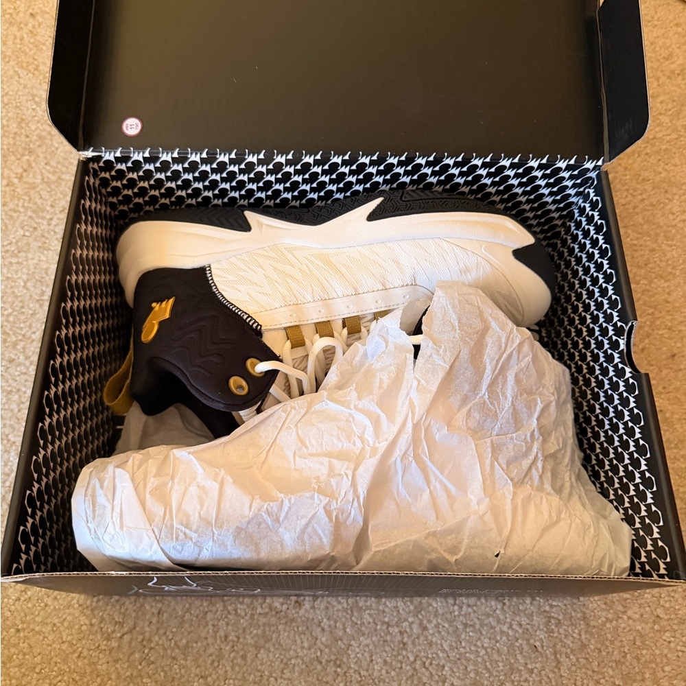 BRAND NEW IN BOX Moolah Basketball Shoes
